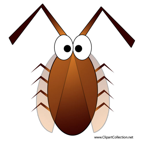 Roaches clipart 20 free Cliparts | Download images on Clipground 2021