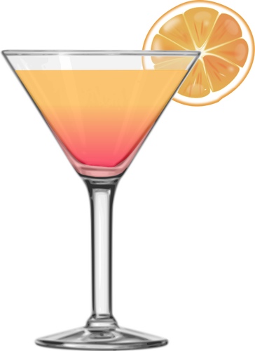 Tequila sunrise cocktail vector image.