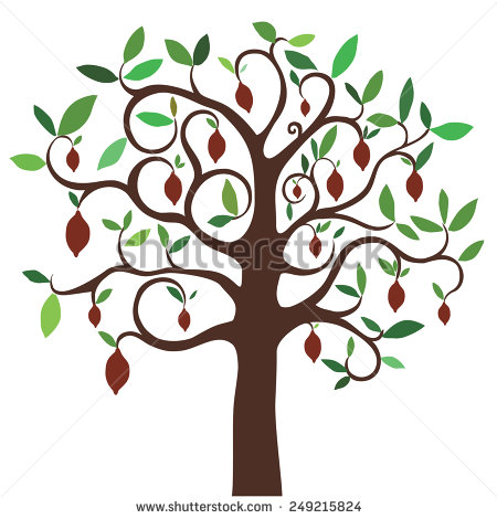 Cocoa Tree Clipart.