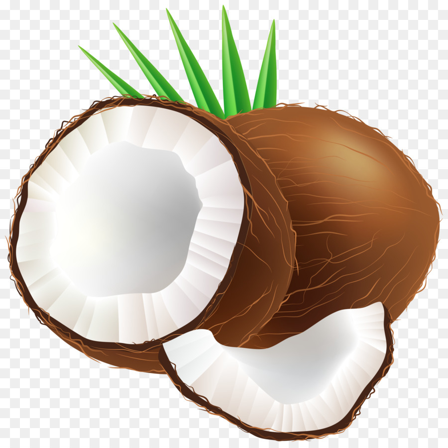 coconut clipart free 20 free Cliparts | Download images on Clipground 2023