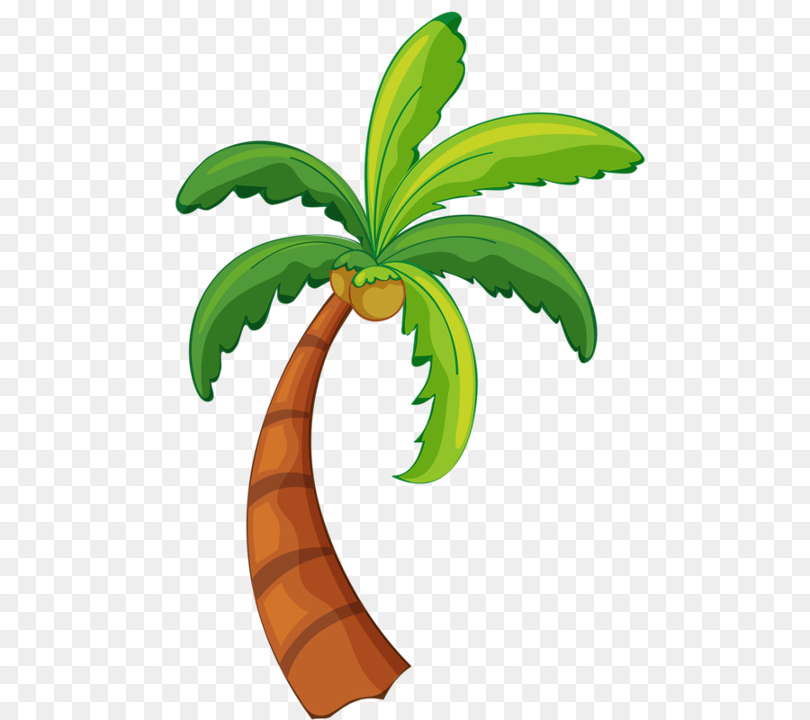 Coconut Tree In Clipart.