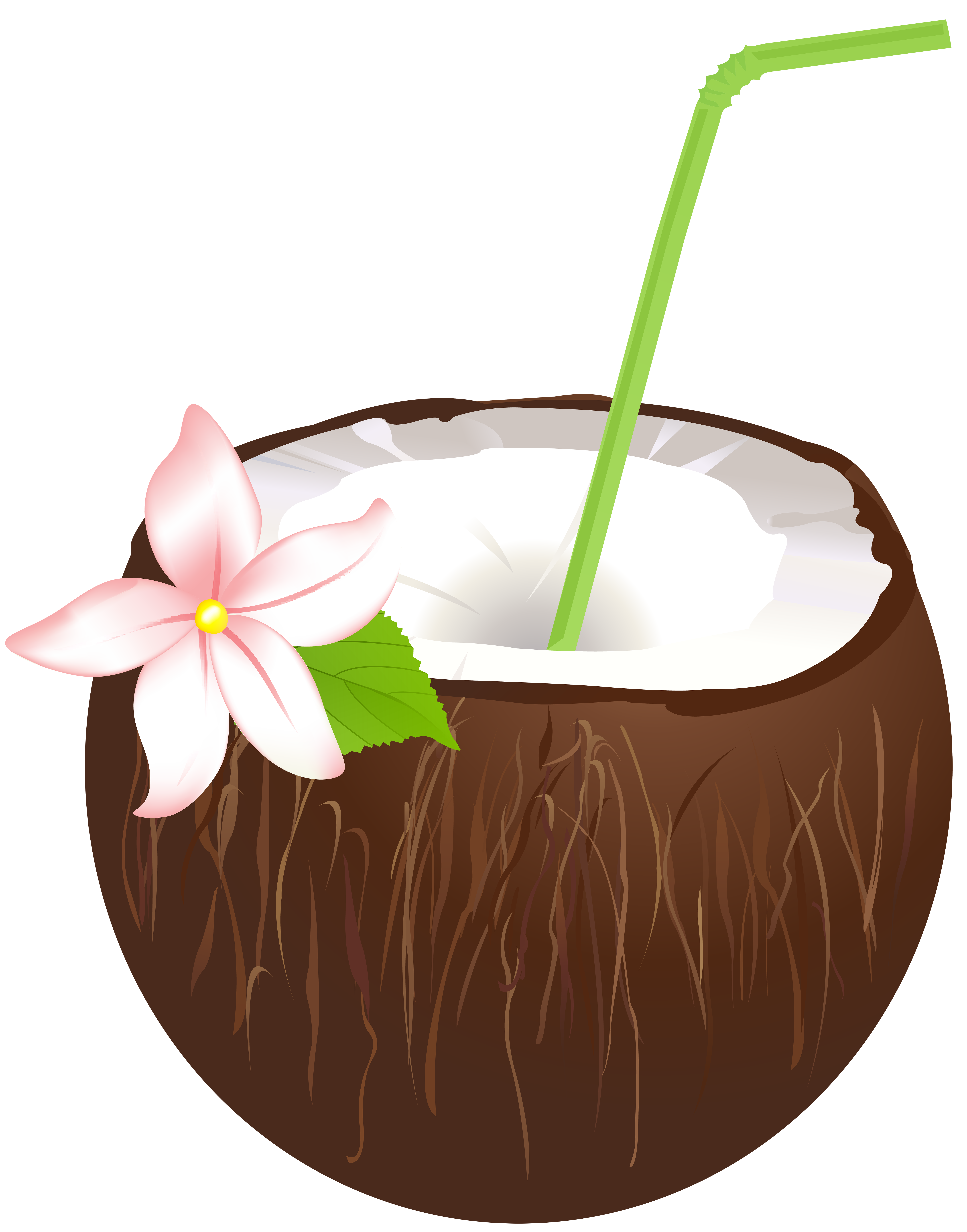 coconut drink clipart 20 free Cliparts | Download images on Clipground 2021