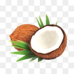 Coconut, Coconut Clipart, Coconuts PNG Transparent Clipart.