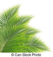 Coconut leaf Illustrations and Clip Art. 6,807 Coconut leaf.