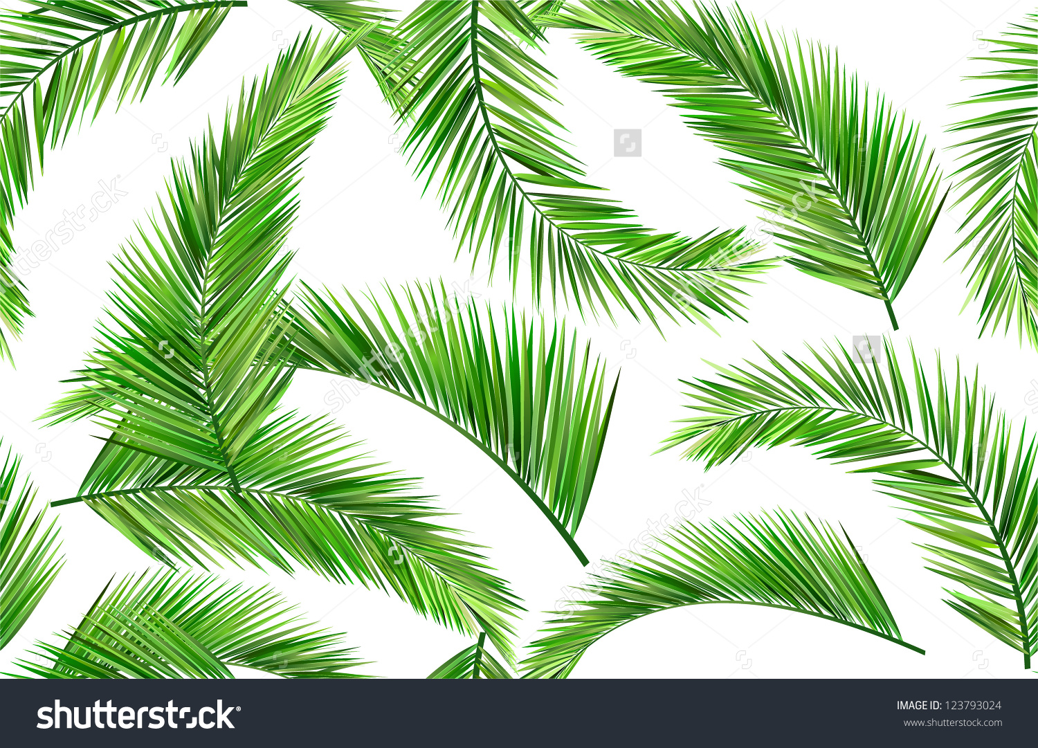 Coconut leaves clipart 20 free Cliparts | Download images on Clipground ...