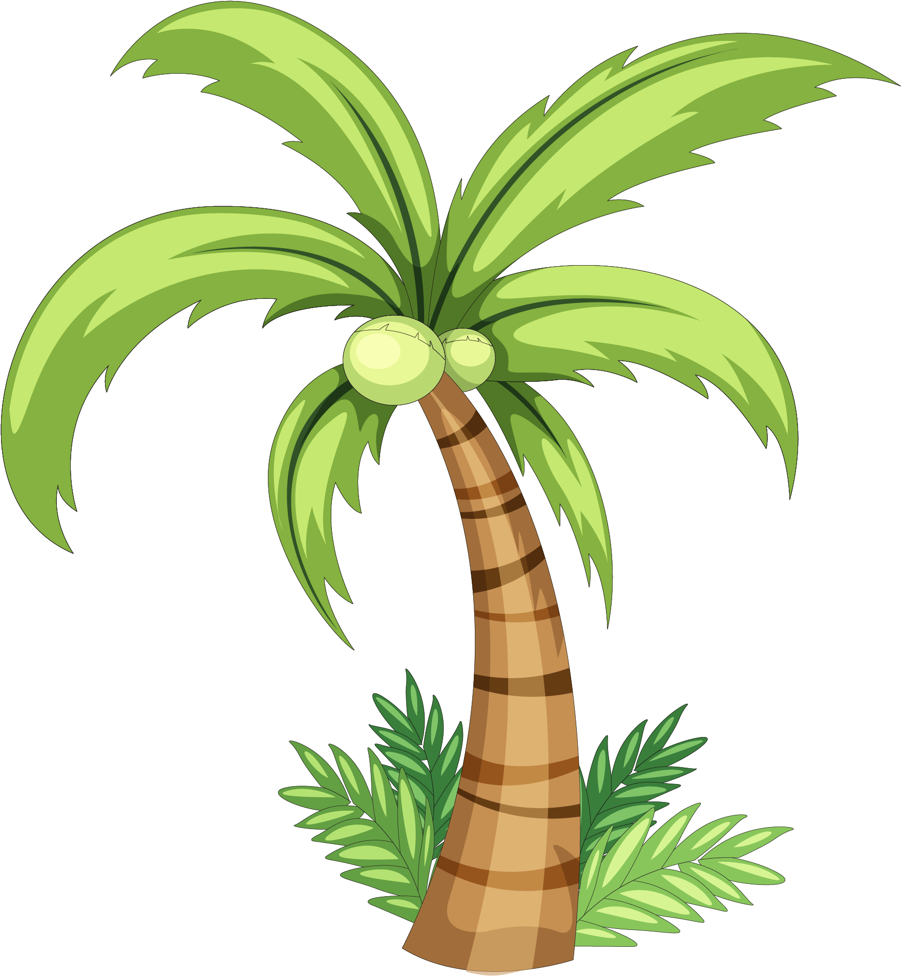 Coconut Palm Clip Art 13 