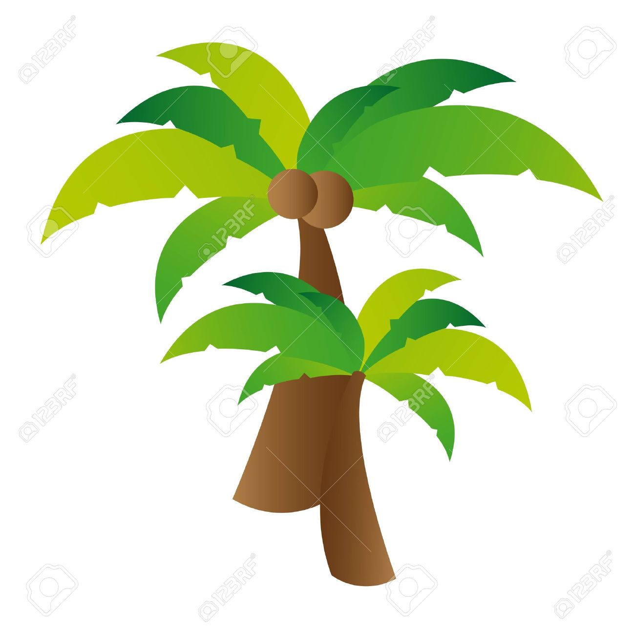 Palm tree coconut clipart.