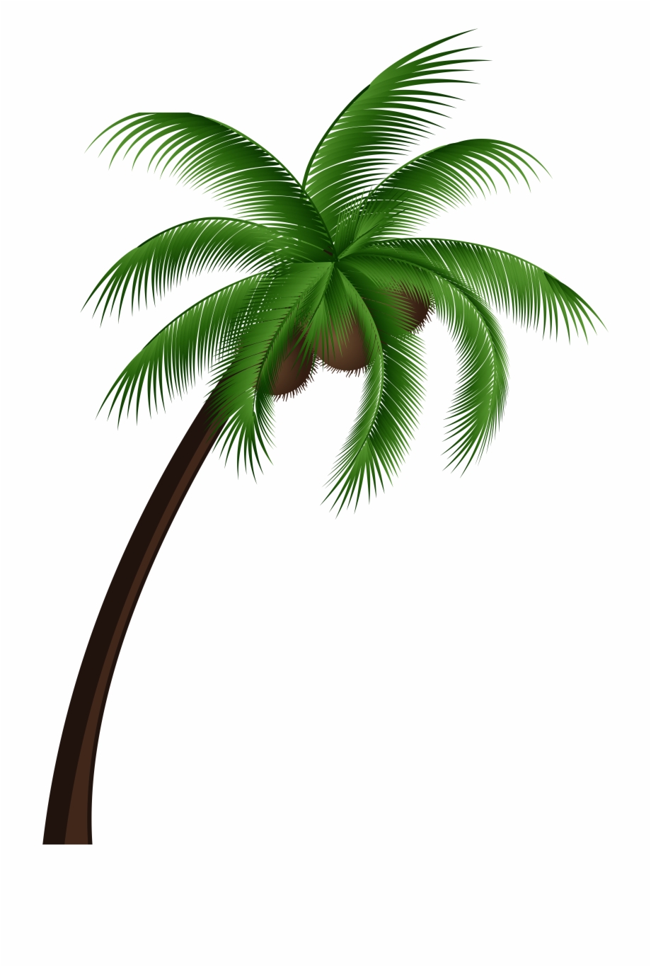 Coconut Palm Tree Png Clip Art.