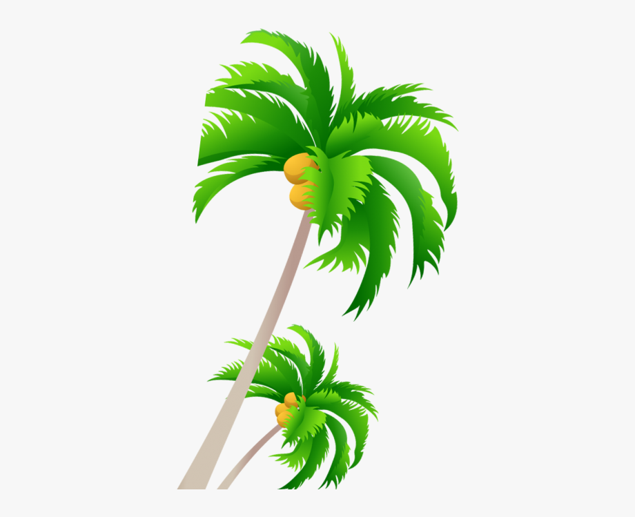 Coconut Tree Vector : Coconut tree cartoon stijl | Premium Vector - You
