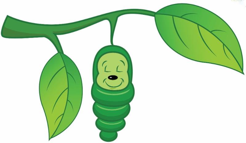 Clipart Cocoon.
