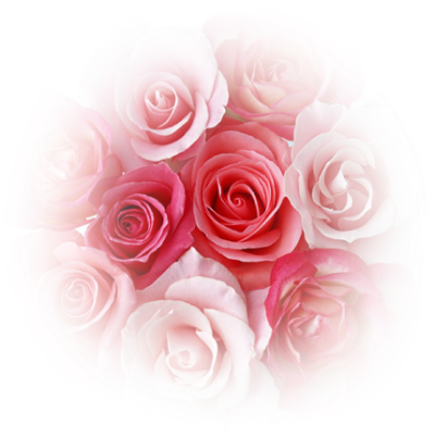 Coeur De Roses Rouge. Rosas Png Tubes Pi #68897.
