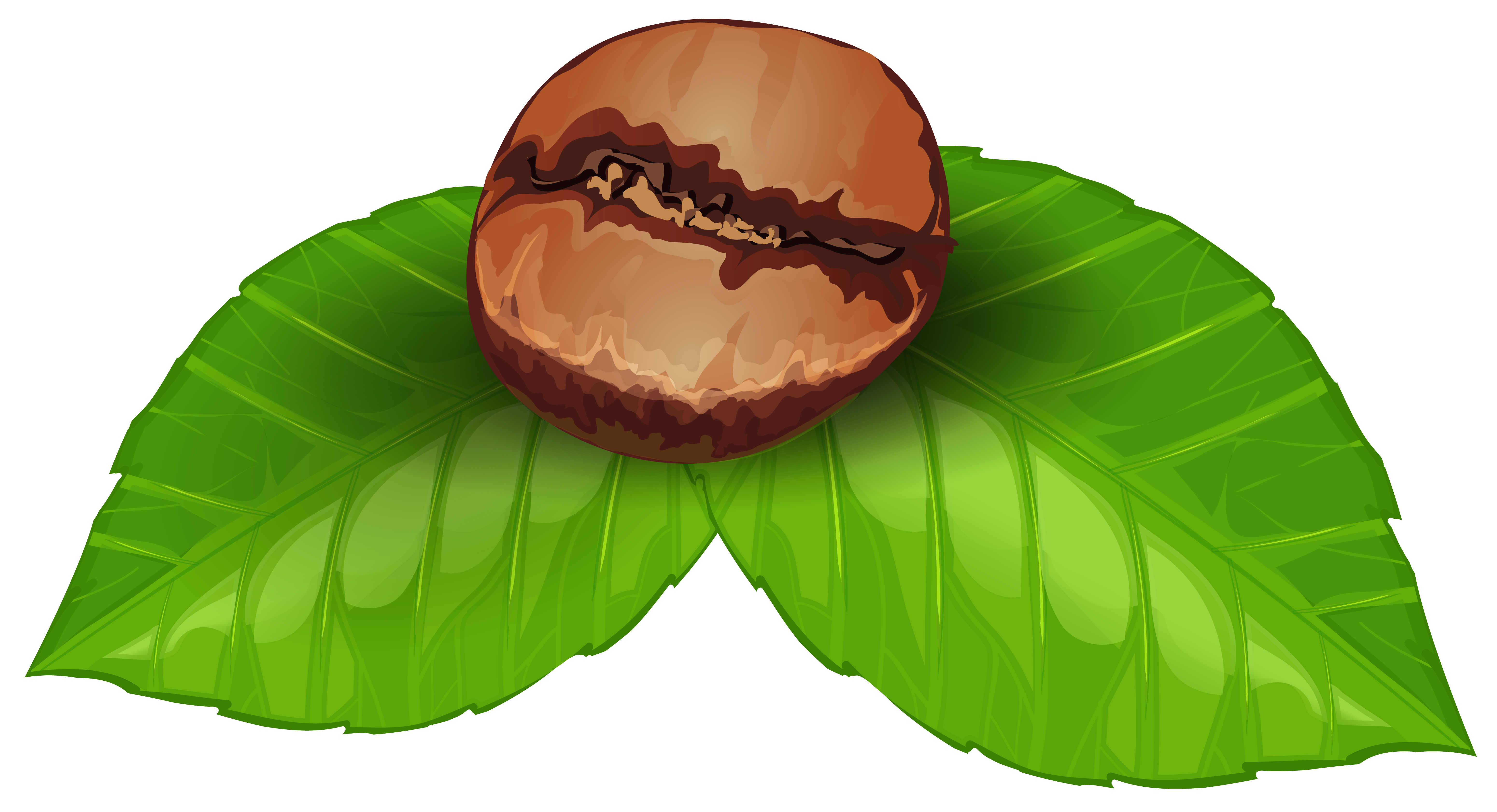 Free Coffee Bean Cliparts, Download Free Clip Art, Free Clip.
