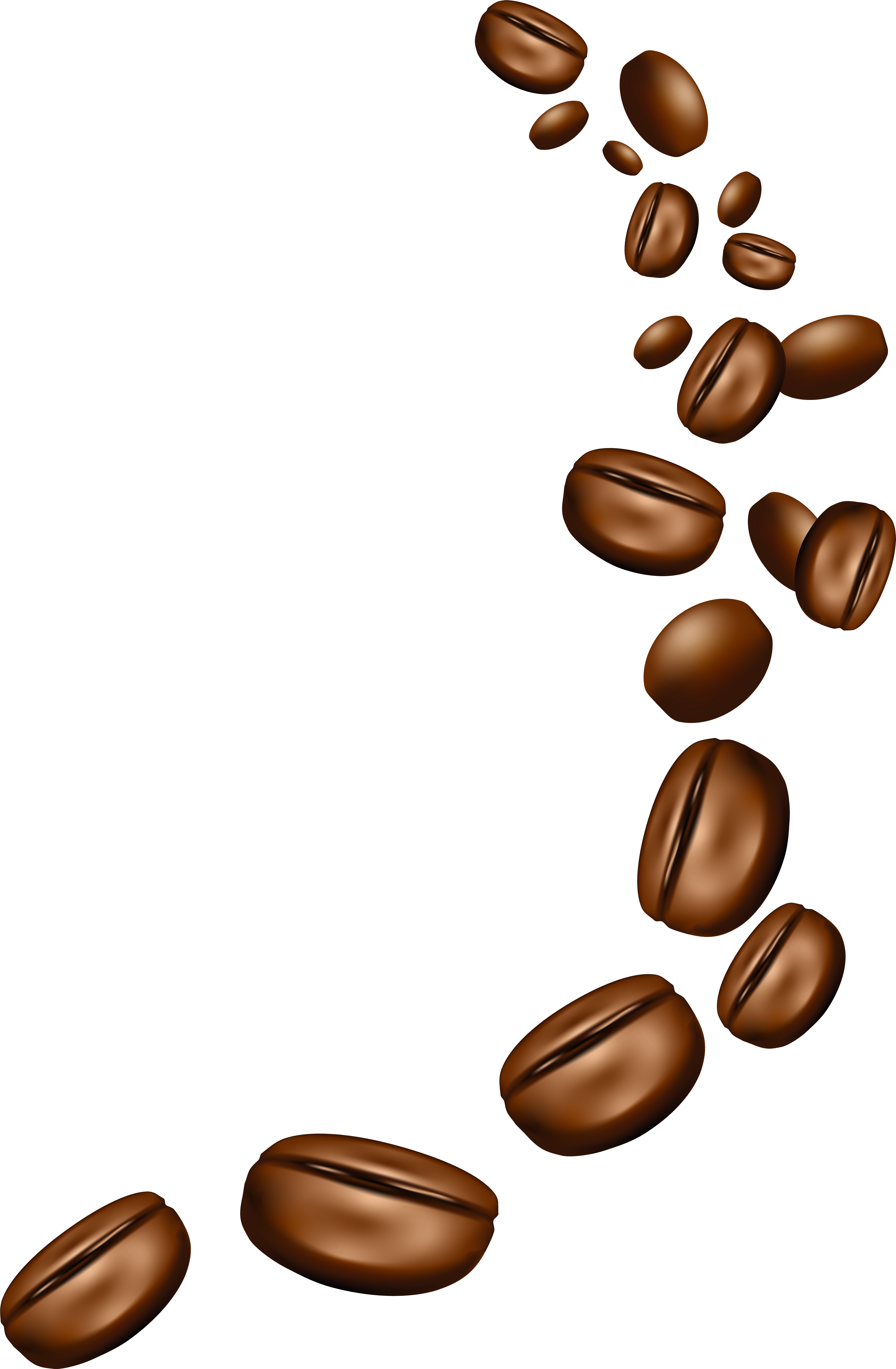 Download coffee beans clipart transparent 10 free Cliparts ...