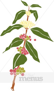 Coffee plant clipart 20 free Cliparts | Download images on Clipground 2021