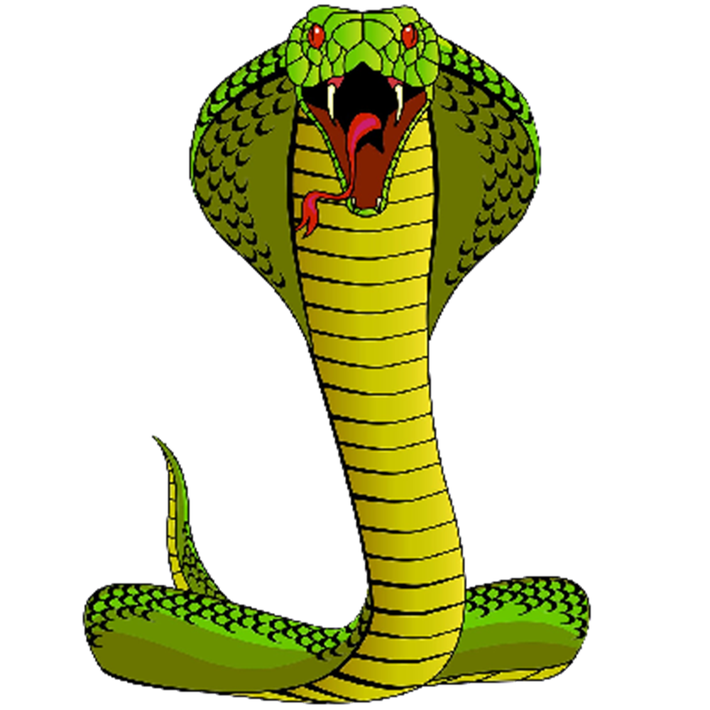 Cobra clipart coiled snake, Cobra coiled snake Transparent.