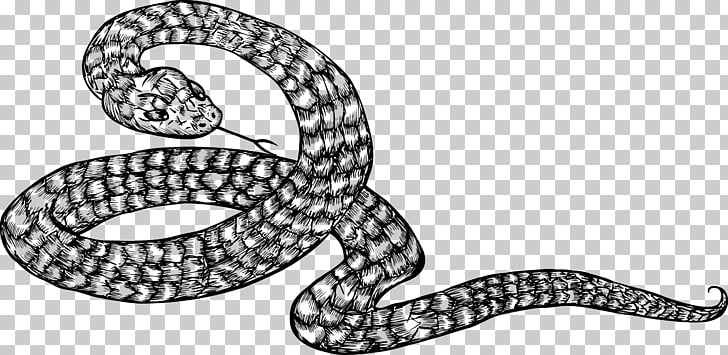 Kingsnakes Black and white Illustration, Coiled snake PNG.