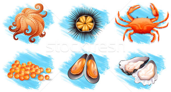 Different kinds of fresh seafood vector illustration.