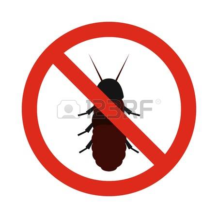 272 Coleoptera Stock Illustrations, Cliparts And Royalty Free.