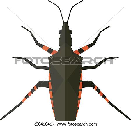 Clip Art of Water scavenger beetle isolated on white background.