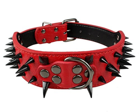 Dog collar Png ( 30+) Collection.