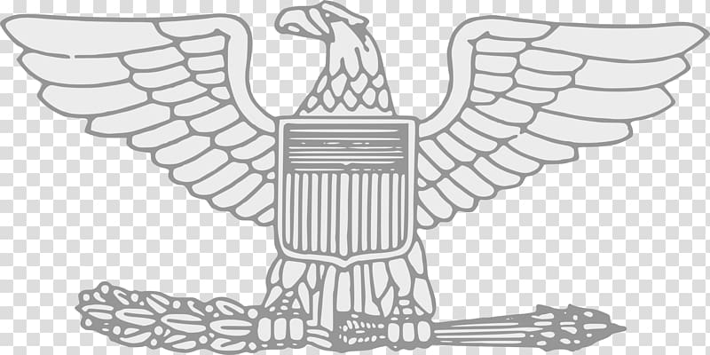 colonel eagle clipart 10 free Cliparts | Download images on Clipground 2024