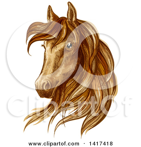 Clipart of a Sketched and Color Filled Brown Horse Head.
