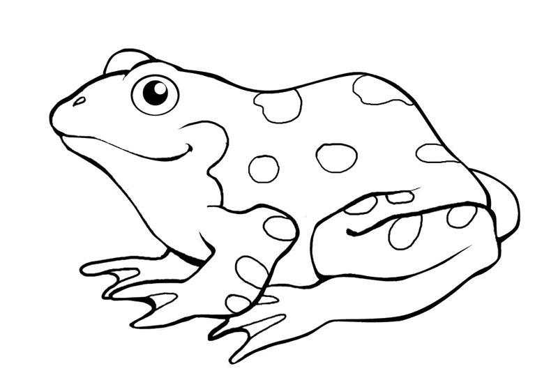 Frog Free Printable Clipart.