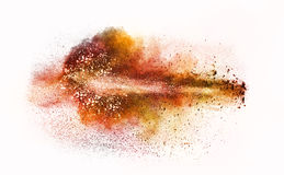 Explosion Of Colored Powder Isolated On White Stock Photo.