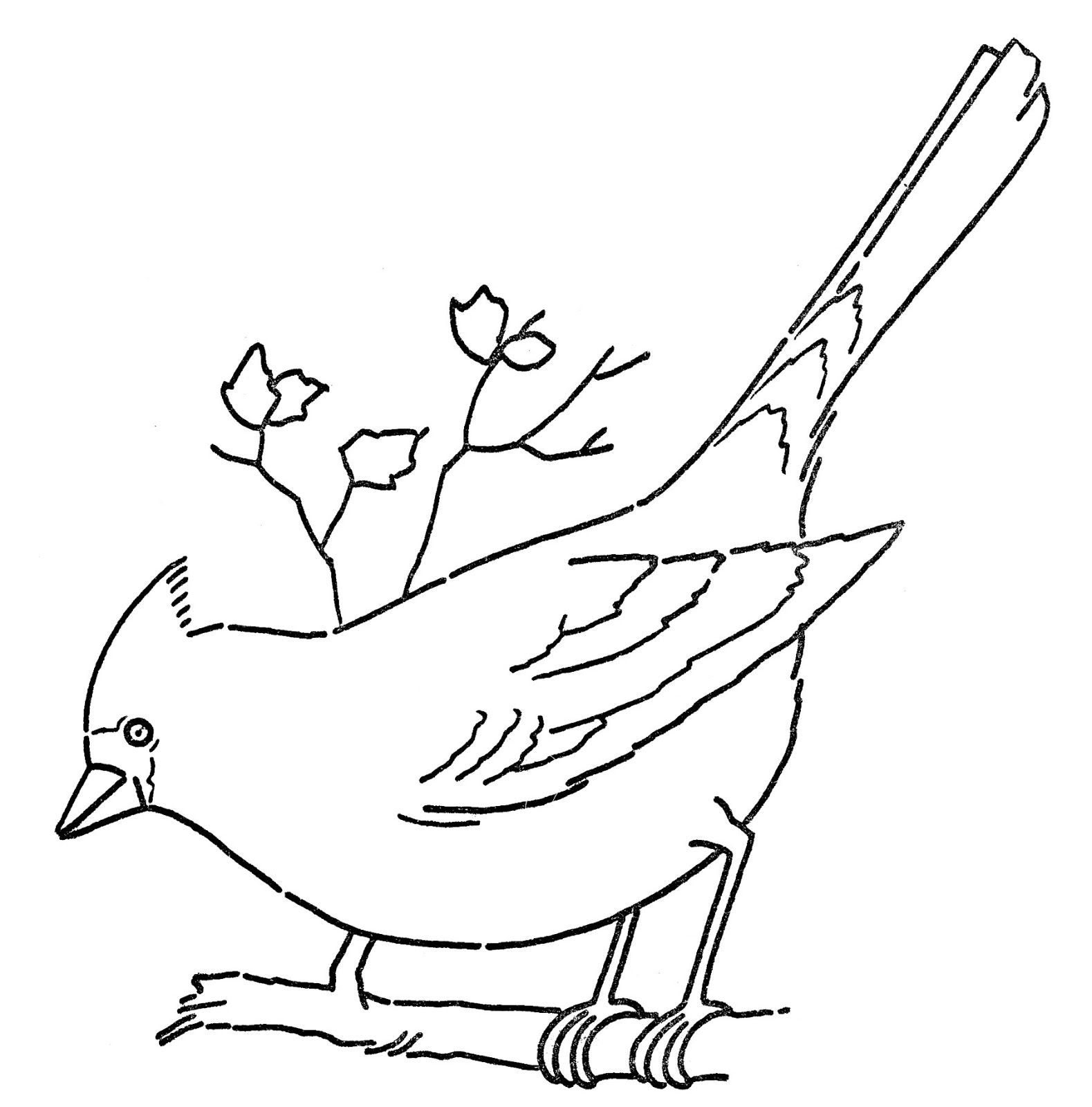 A sketch of a cardinal clipart in color.