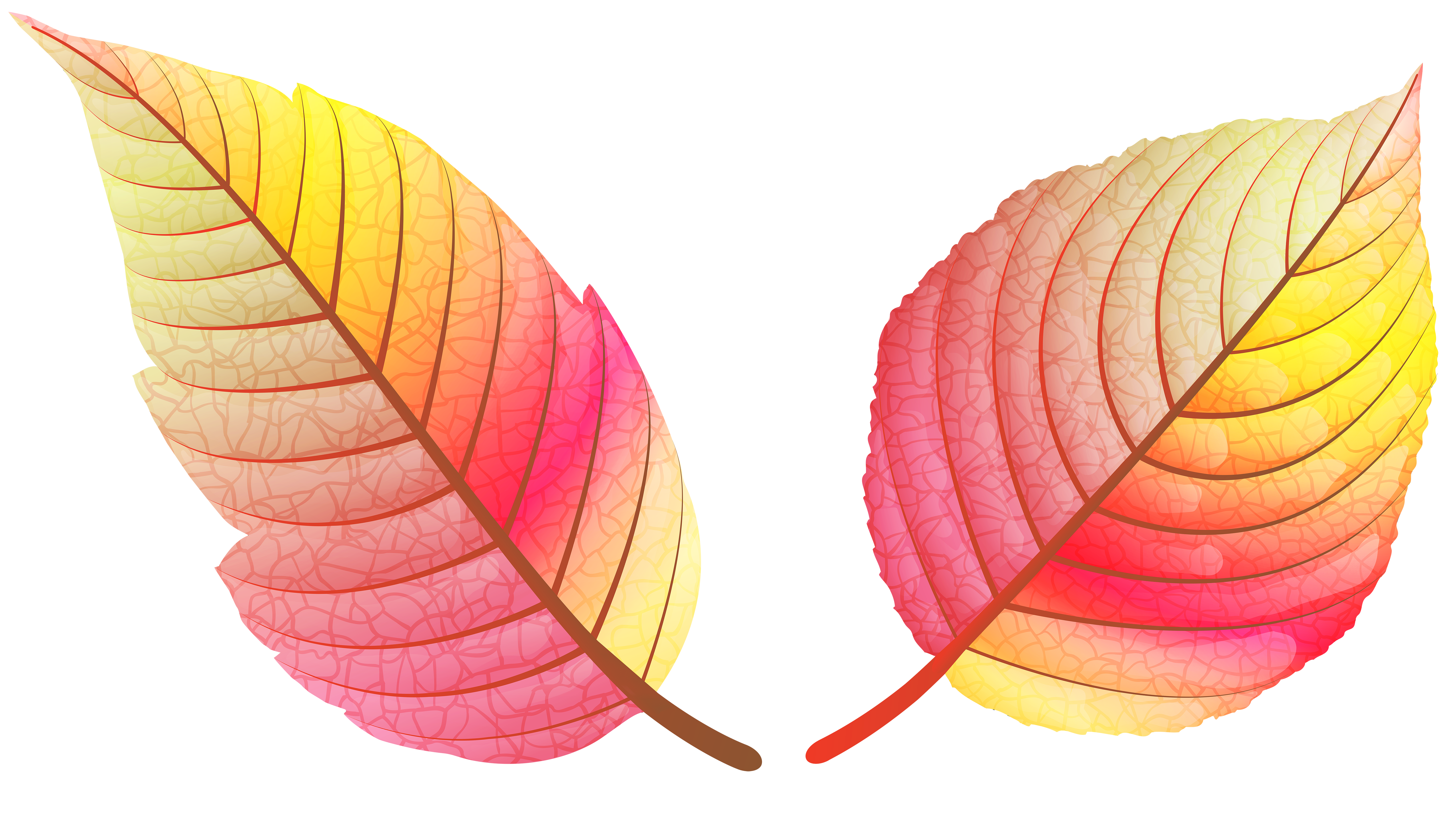 Colorful Fall Leaves PNG Clip Art Image.