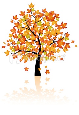 Fall tree with leaves clipart.