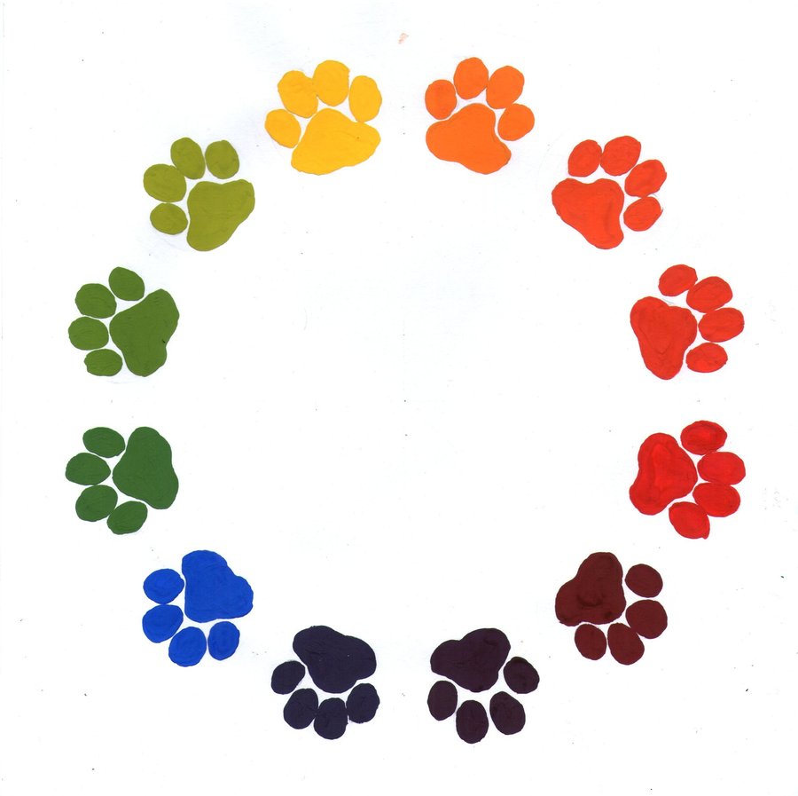 Free download Paw Prints Color Wheel by aconite pawlove.
