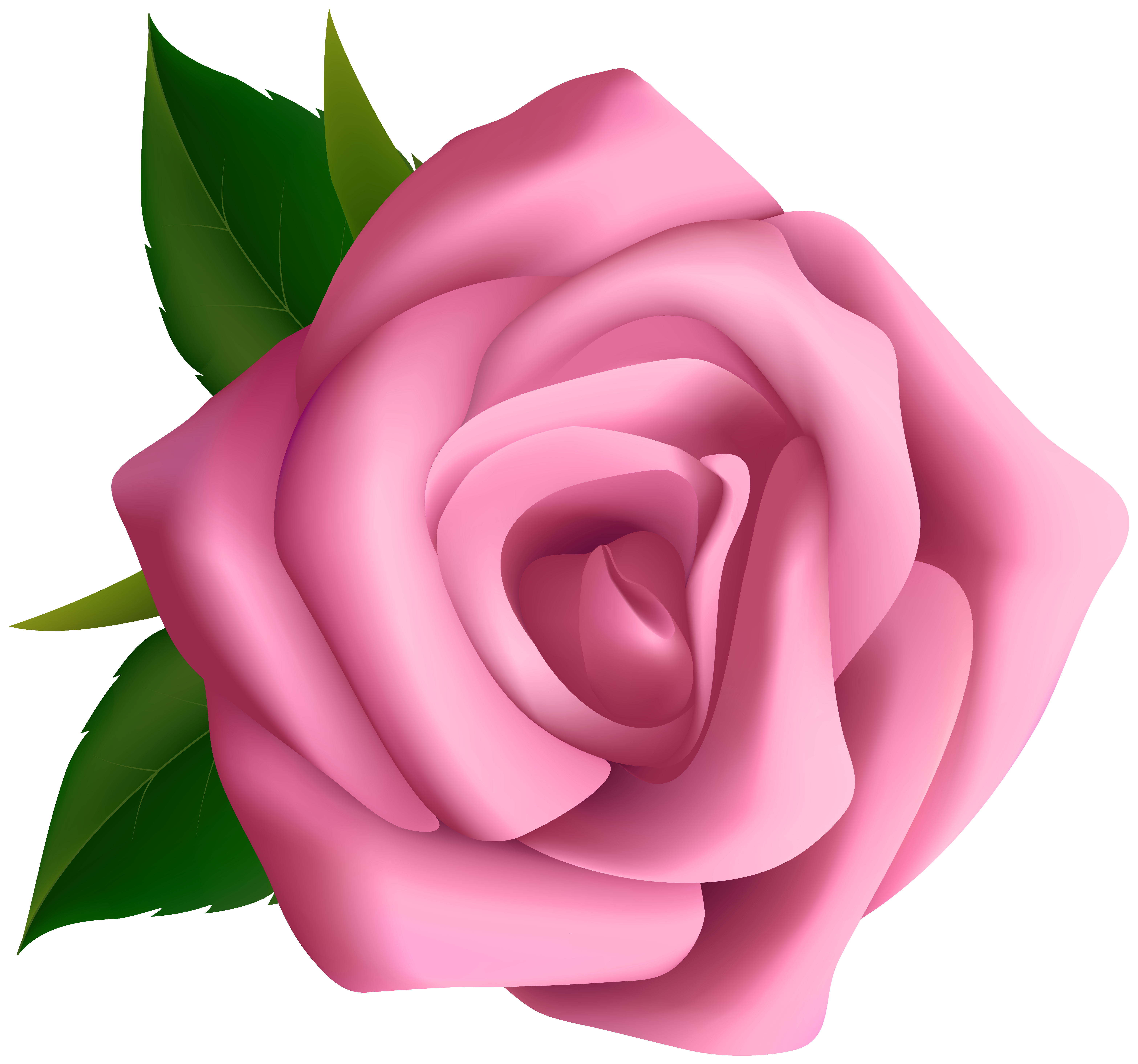 Clipart Pink Rose Flower.