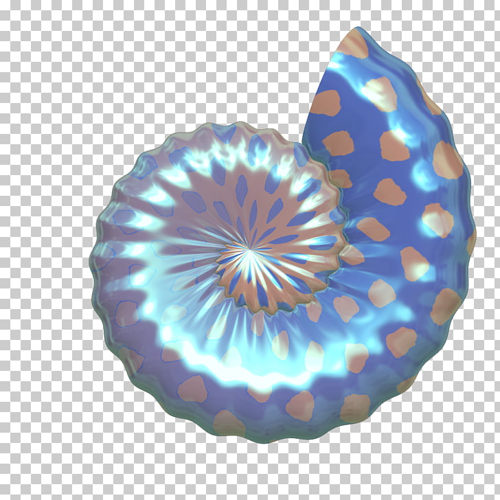 Shore Seashell , Colorful conch PNG clipart.