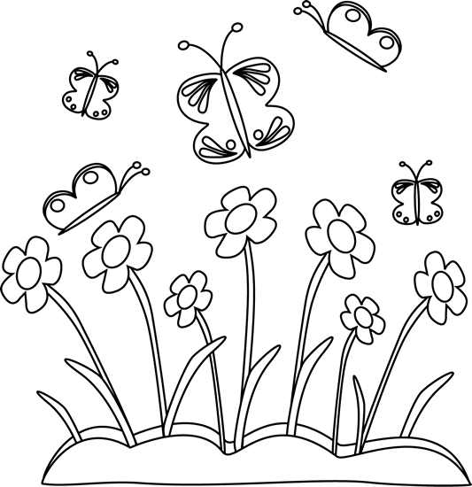 Black and White Spring Flowers and Butterflies.