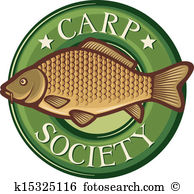 Common carp Clipart Illustrations. 62 common carp clip art vector.