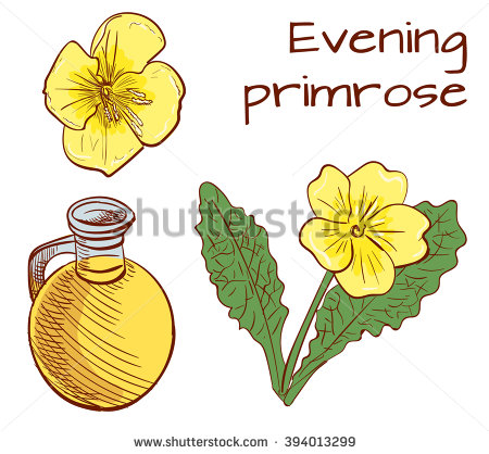 Primrose Oil Stock Photos, Royalty.