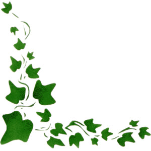 English ivy clipart.