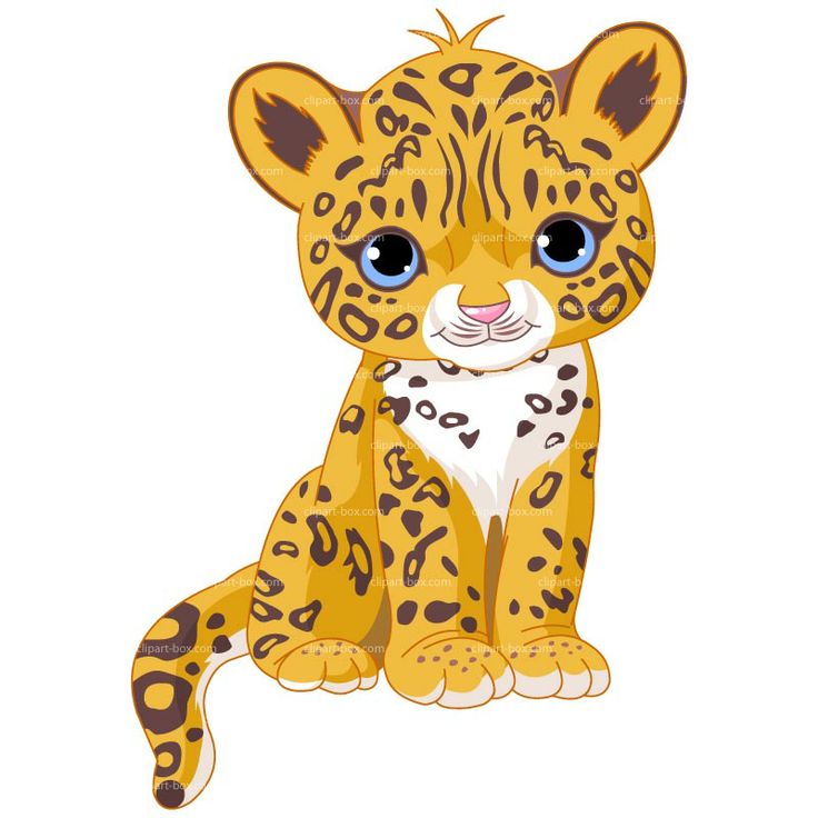 1000+ ideas about Baby Jaguar on Pinterest.