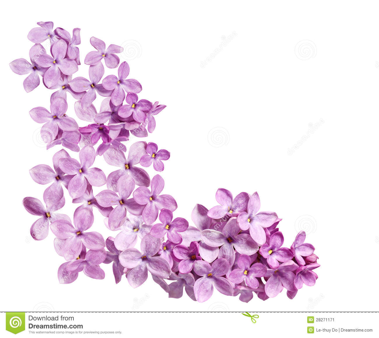 Clip Art Flowers Purple Lilacs Clipart.