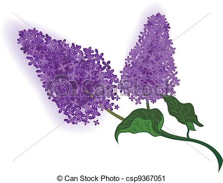 Lilac Stock Illustrations. 16,492 Lilac clip art images and.