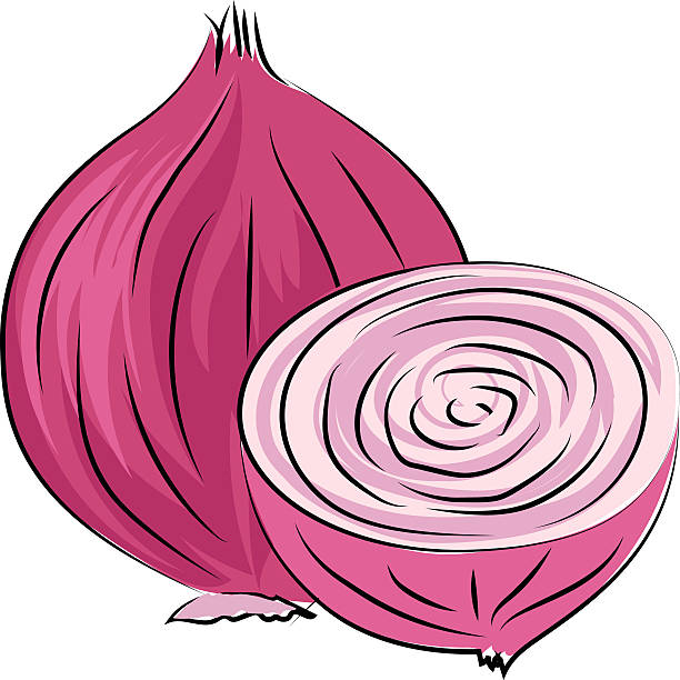 Common Onion Clip Art, Vector Images & Illustrations.