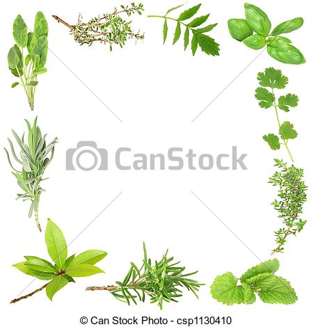 Herb Cooking Clipart.