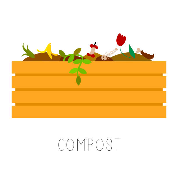 Best Compost Illustrations, Royalty.