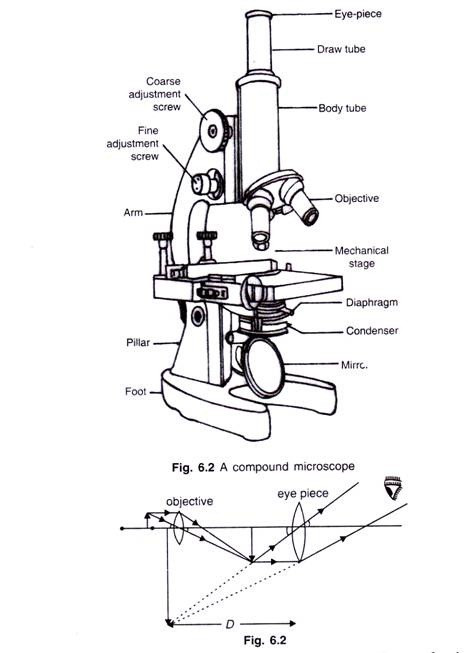 compound microscope clipart 20 free Cliparts | Download images on ...