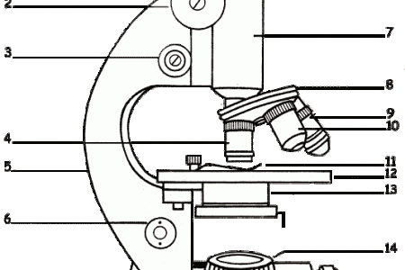 compound microscope clipart 20 free Cliparts | Download images on ...