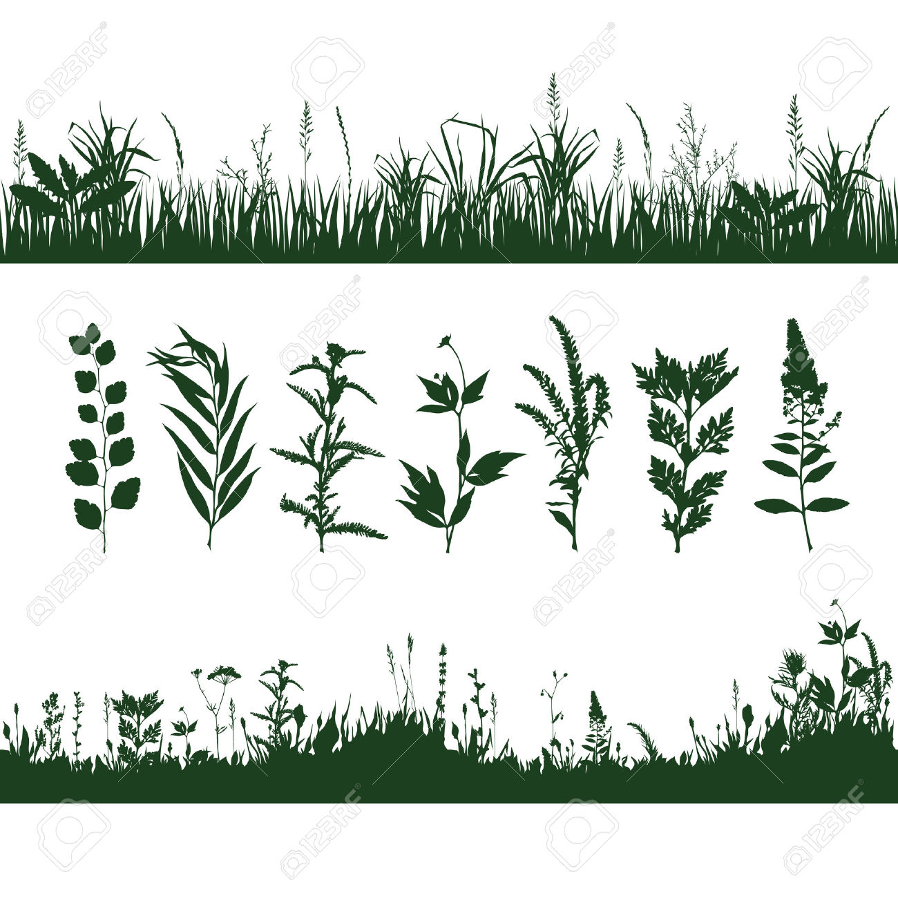 Silhouettes Meadow Grass And Twigs Of Plants. Vector Illustration.