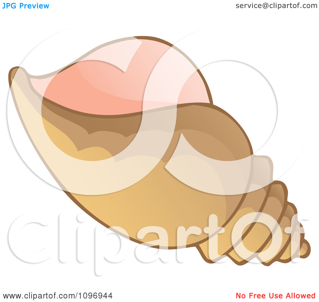 Clipart Brown Conch Shell.