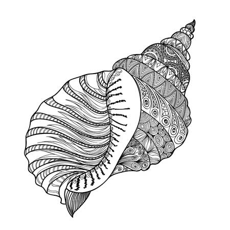 conch shell clipart 20 free Cliparts | Download images on Clipground 2021
