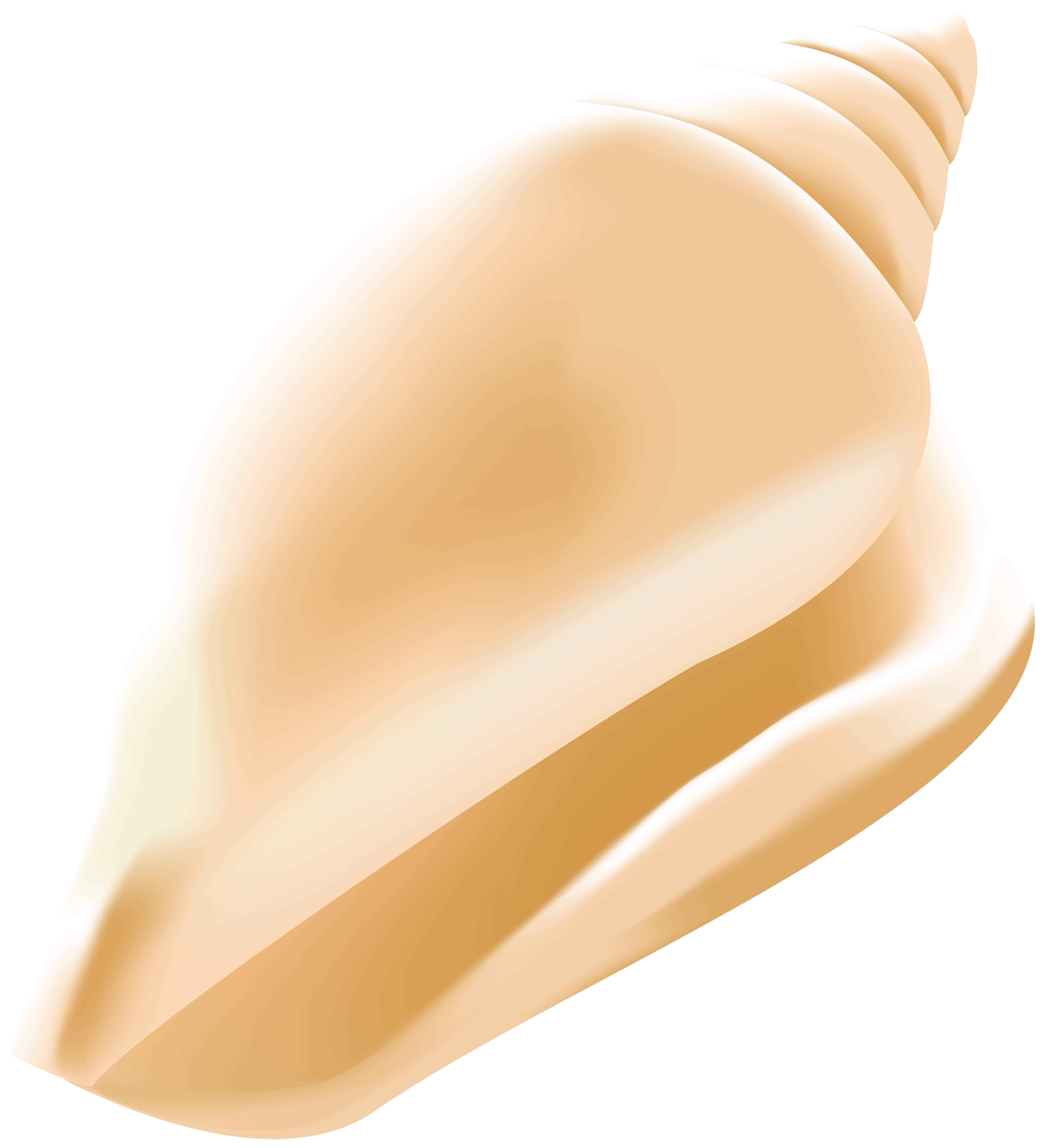 Conch Shell PNG Clip Art Image.